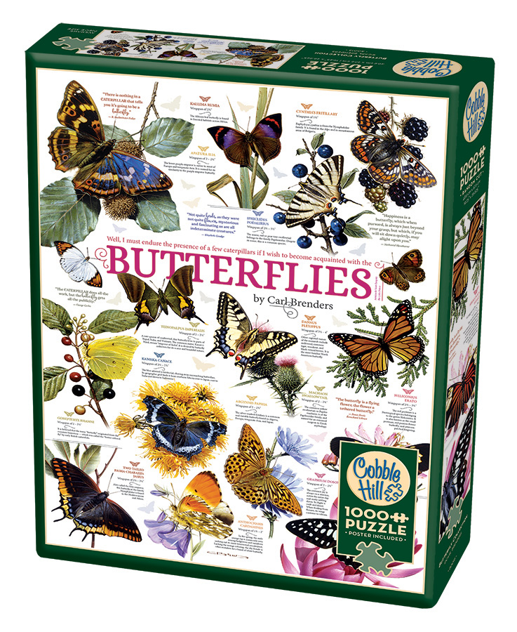 Butterfly Collection