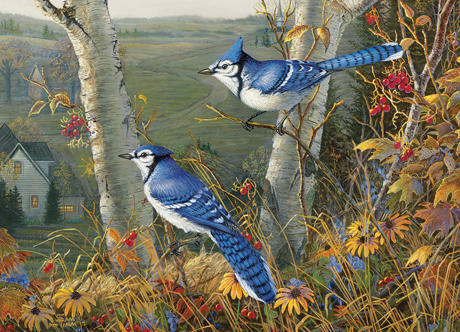 Blue Jays