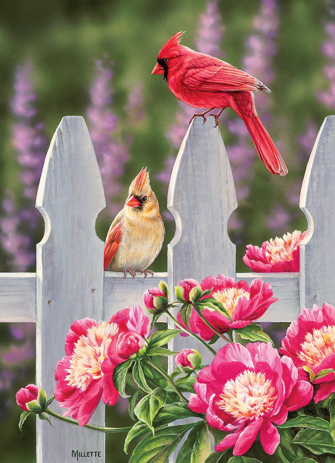 Cardinals and Peonies