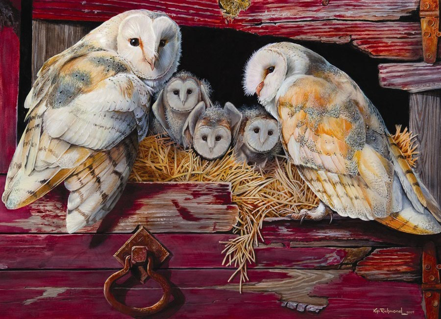 Barn Owls